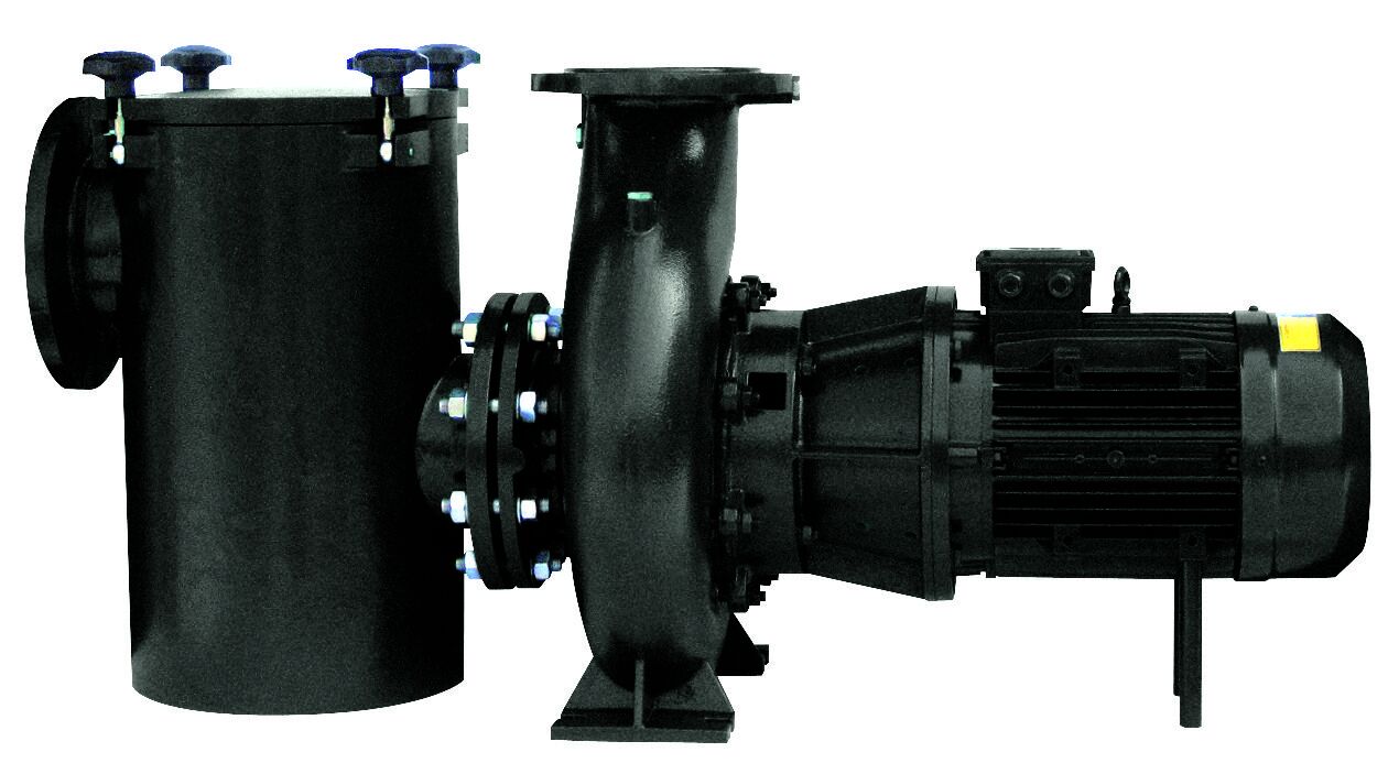 Насос Hayward HCP72403E7 (380V, пф, 325m3/h*24m, 40HP, IE3) кор. чугун\крыл. бронза, фл. 150\125