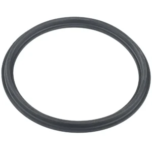 Уплотнительное кольцо Hayward муфты RS II (RSX750N)
